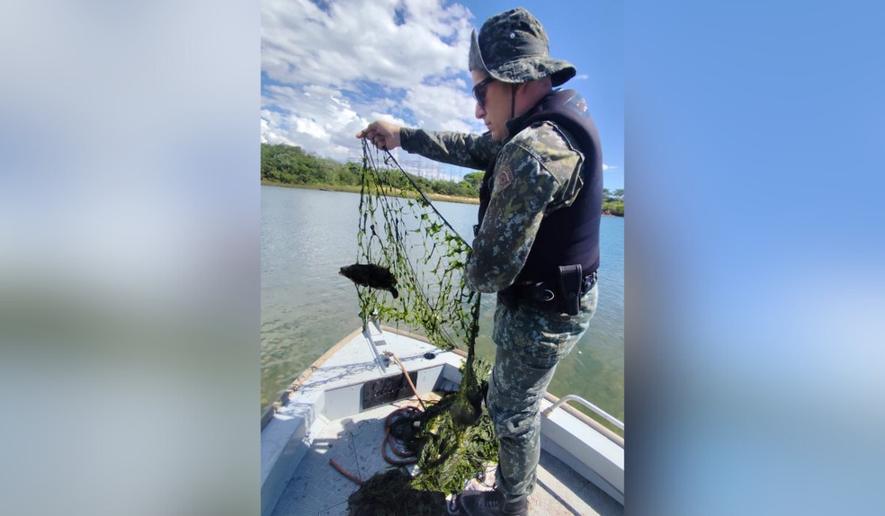 Polícia Ambiental apreende 450 metros de redes e devolve 40 kg de peixes ao Rio Paraná, em Rosana — Foto: Polícia Militar Ambiental/Divulgação