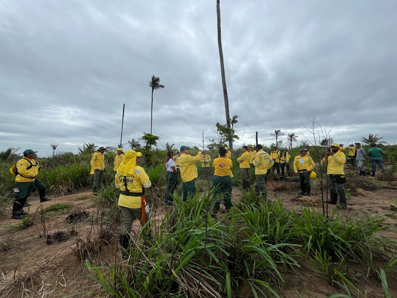 Brigadistas Yanomami são treinados para prevenir e combater incêndios no território indígena