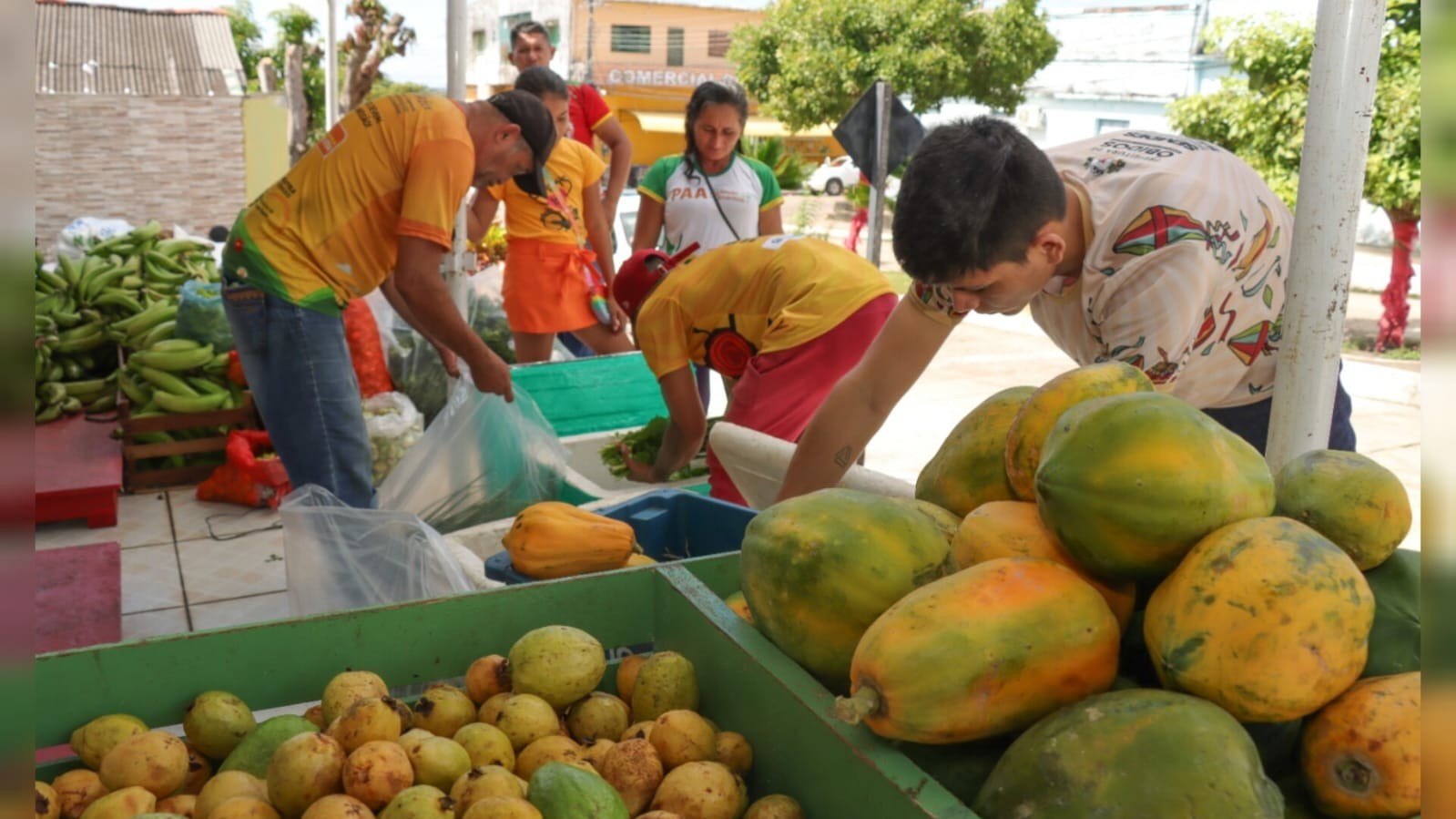 Em Óbidos, Programa de Aquisição de Alimentos encerra ciclo de compras beneficiando mais de 1.300 famílias
