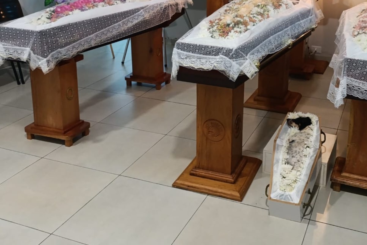 Pai, duas filhas e cachorrinha mortos em acidente são velados um ao lado do outro em MS