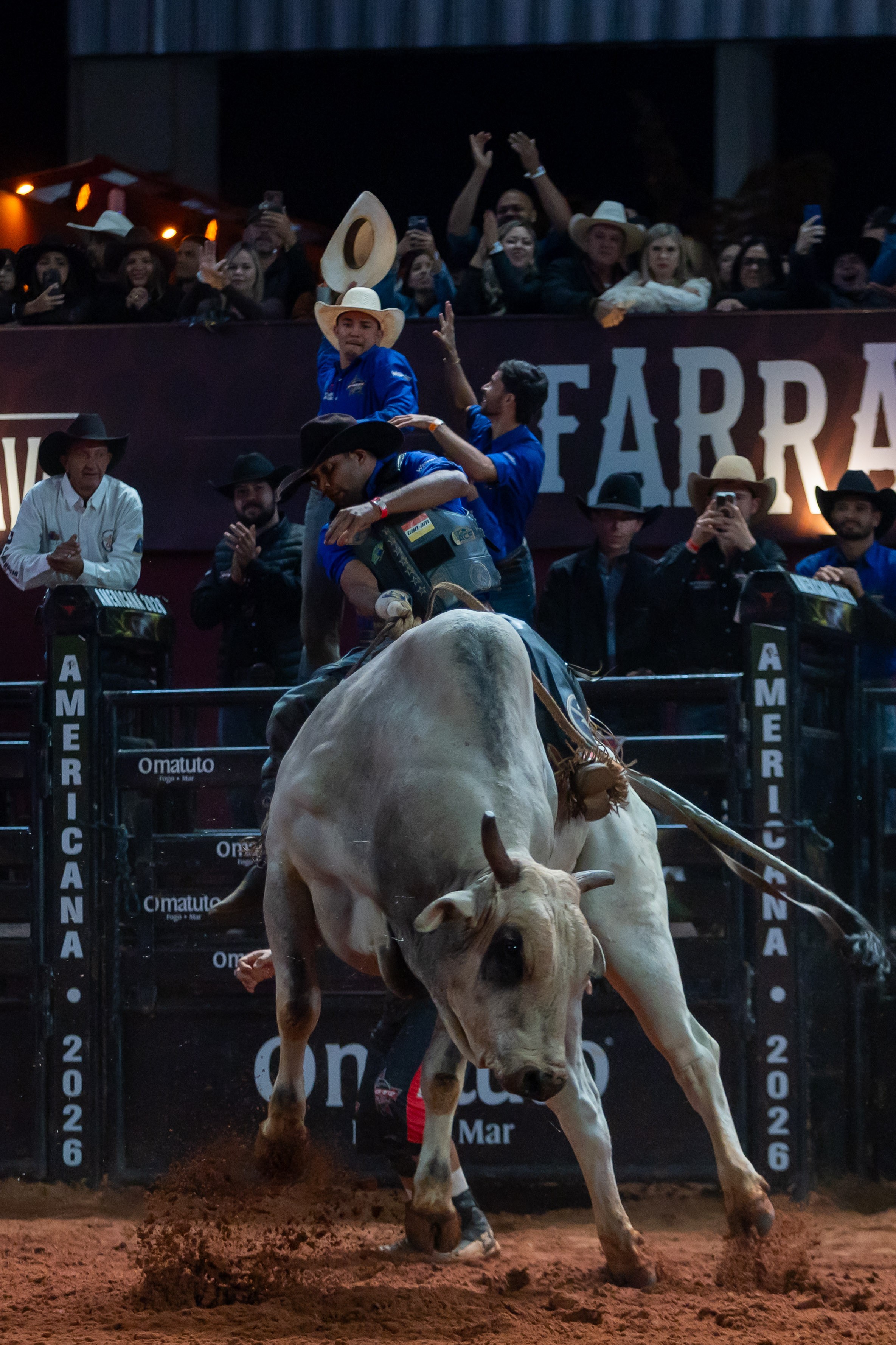 Alisson de Souza montou o touro Relíquia da Patroa no Round Final e conquistou o título da etapa da PBR da Festa do Peão de Americana, neste domingo (7) — Foto: Thomaz Marostegan