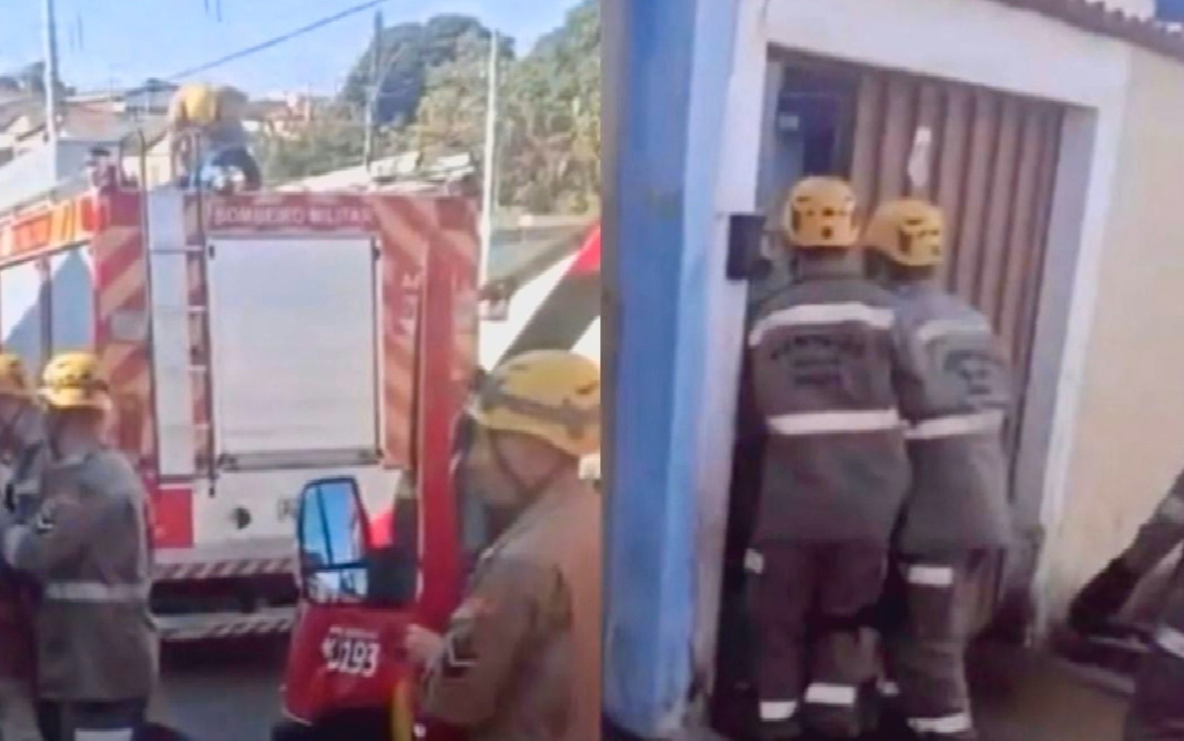Mulher morre após ser atacada por pit bull do neto