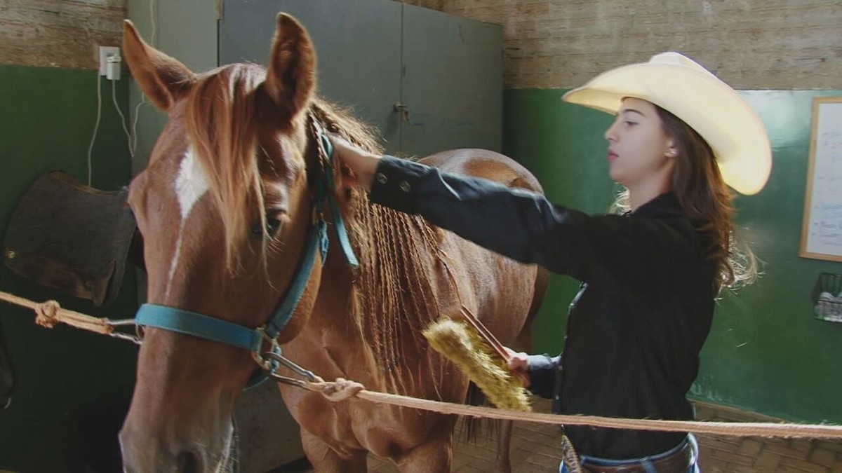 27 ideias de Cowboy  cavalos, arte sertaneja, arte cavalo