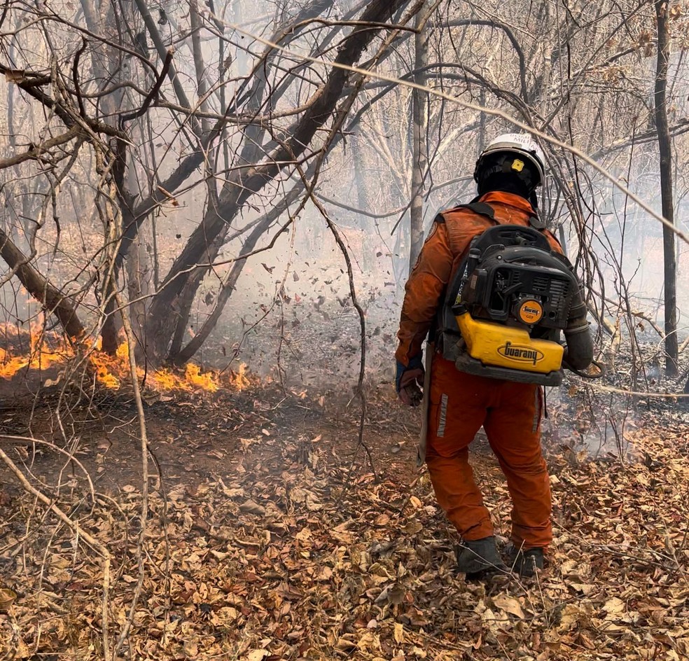 Serra da Bandeira registra incêndios florestais em meio às altas temperaturas — Foto: Corpo de Bombeiros