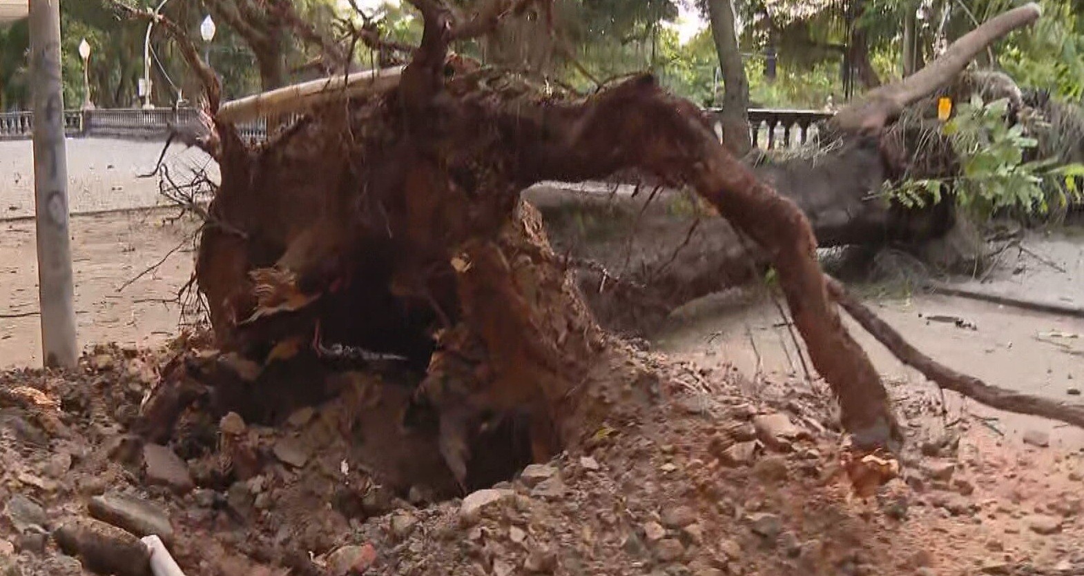 ‘Ainda estou em choque’, diz motorista de aplicativo que ficou preso em carro atingido por árvore durante temporal na Glória 