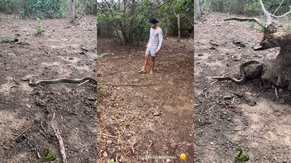 Luan Santana no Pantanal de Mato Grosso do Sul. — Foto: Redes sociais