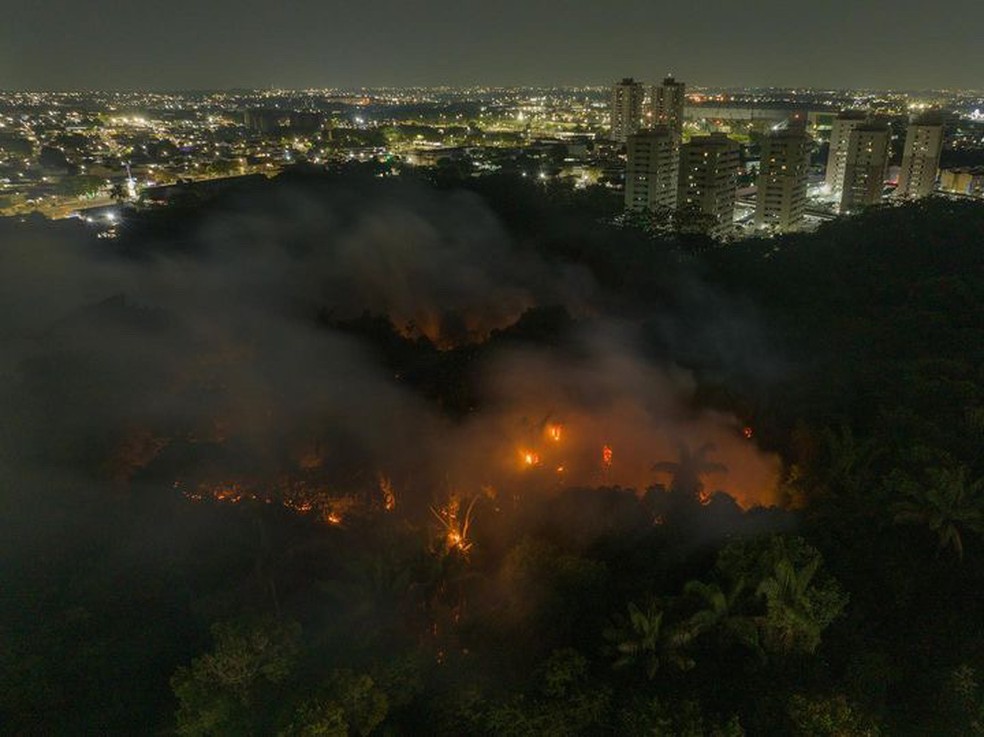 Incêndio atinge área de mata em Manaus — Foto: Chico Batata/Divulgação