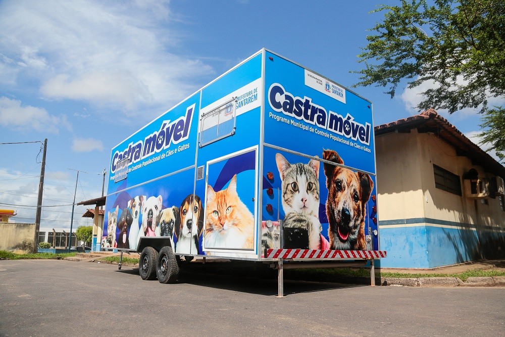 Castramóvel abre 100 vagas para castração gratuita de gatos em Santarém; saiba como agendar