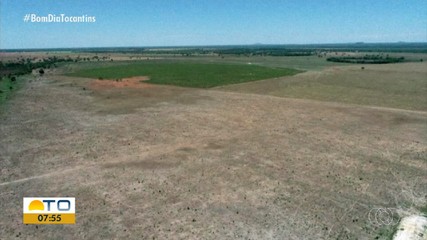 Produtor rural é multado em quase 1,5 milhão por usar reserva legal para pecuária