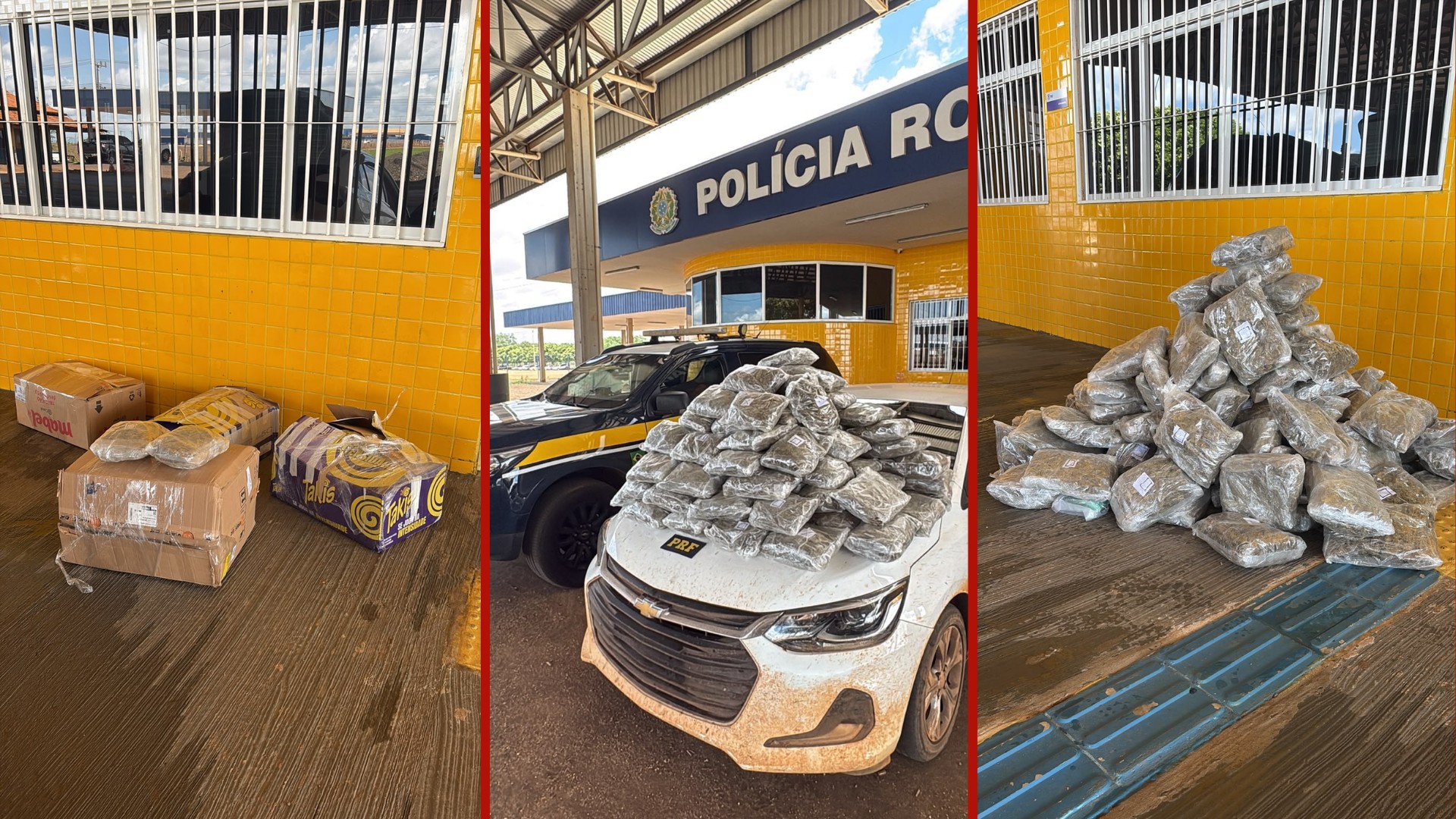 Casal é preso com mais de 50 kg de skunk em porta-malas de carro em MT