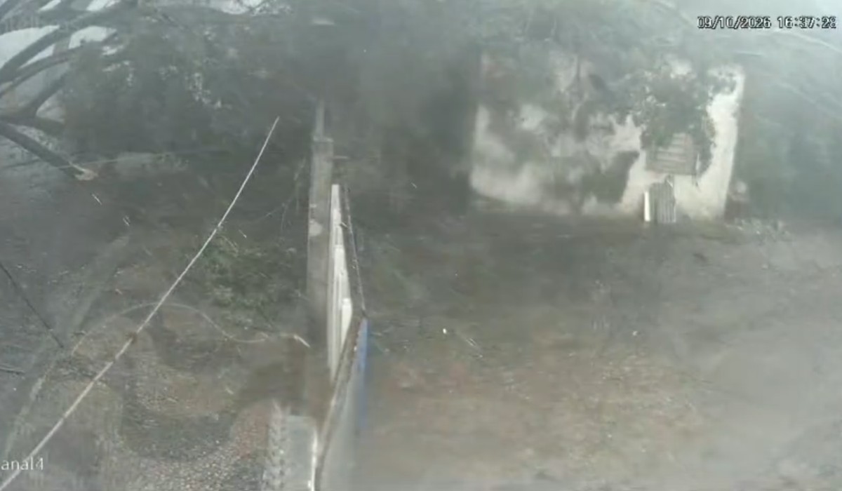 VÍDEO: Árvore cai e atinge oficina em Campinas | G1
