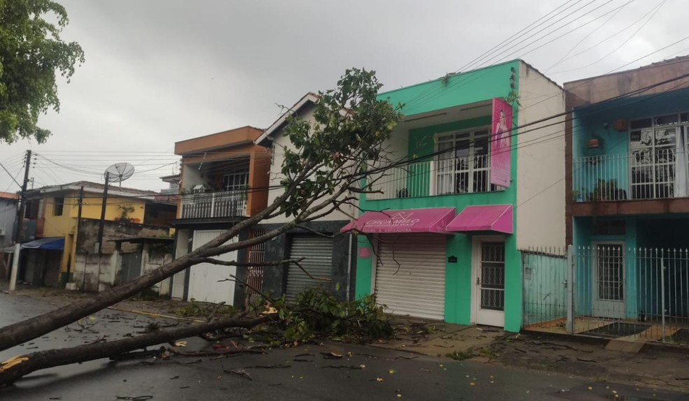 Mais de 2,3 mil ocorrência entre as áreas de Presidente Prudente, Assis e Tupã — Foto: Energisa Sul-Sudeste/Reprodução