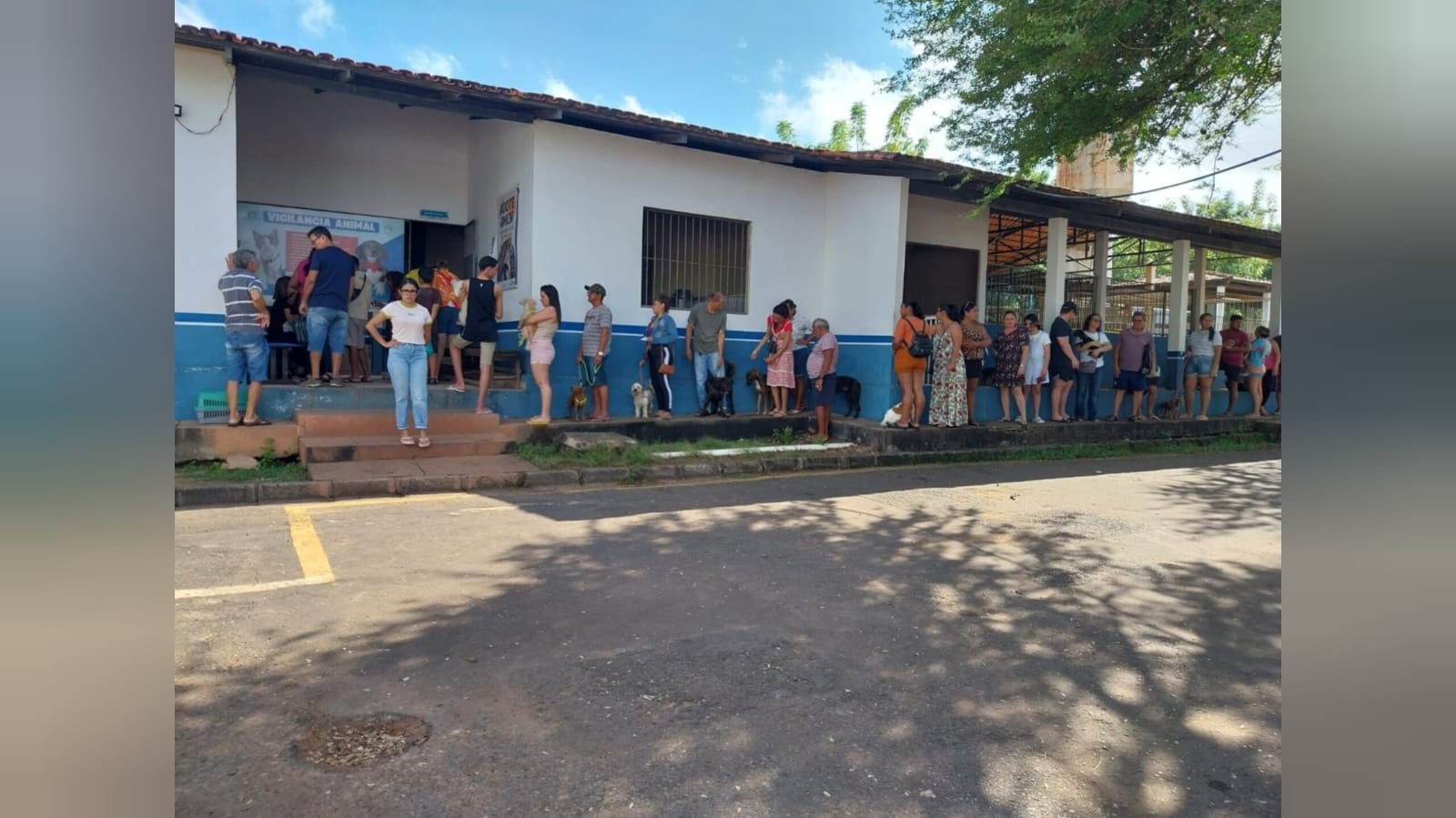 Campanha Julho Dourado mobiliza tutores e garante saúde para mais de 1.300 animais em Santarém