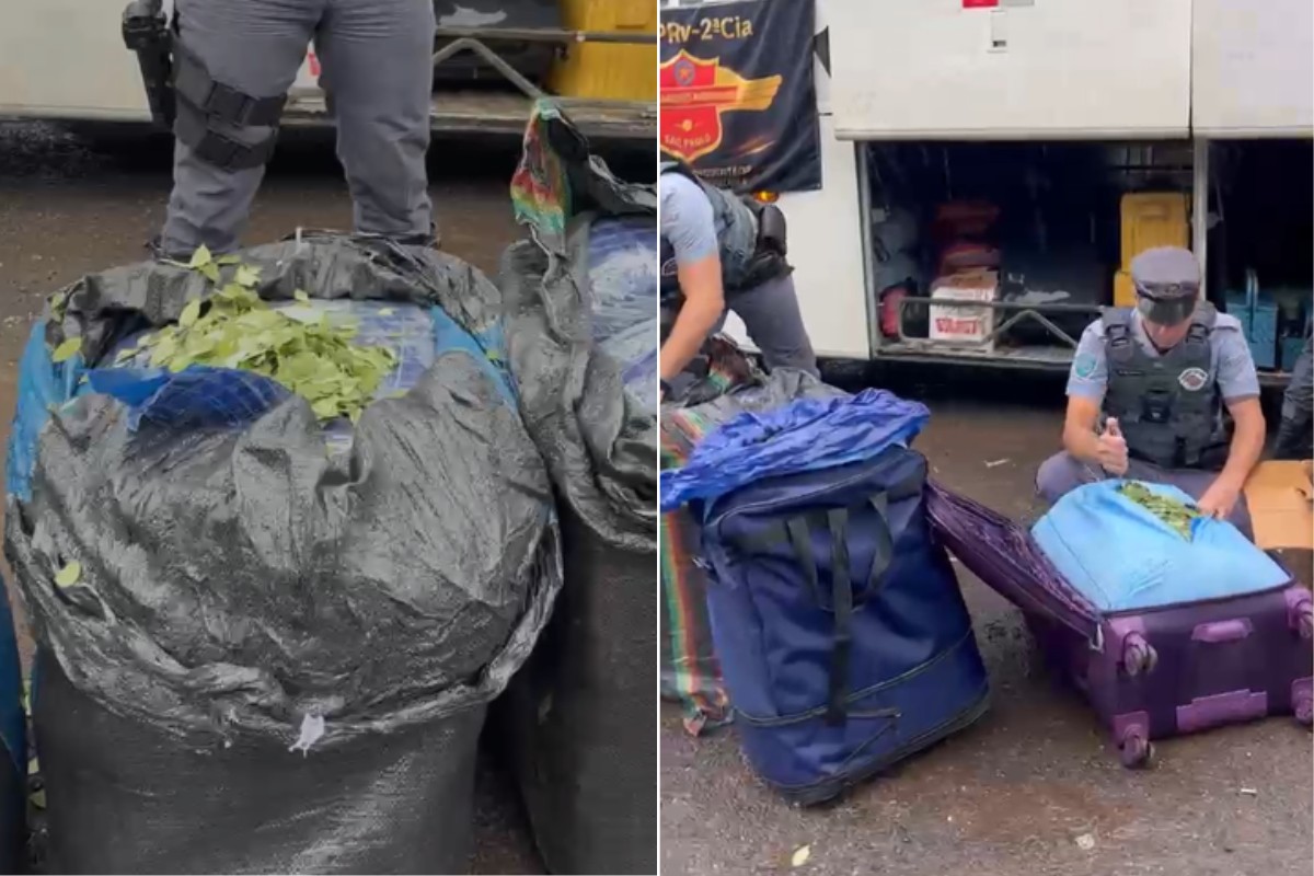 Polícia flagra bolivianos com quase 750 kg de folhas de coca em ônibus abordado no interior de SP