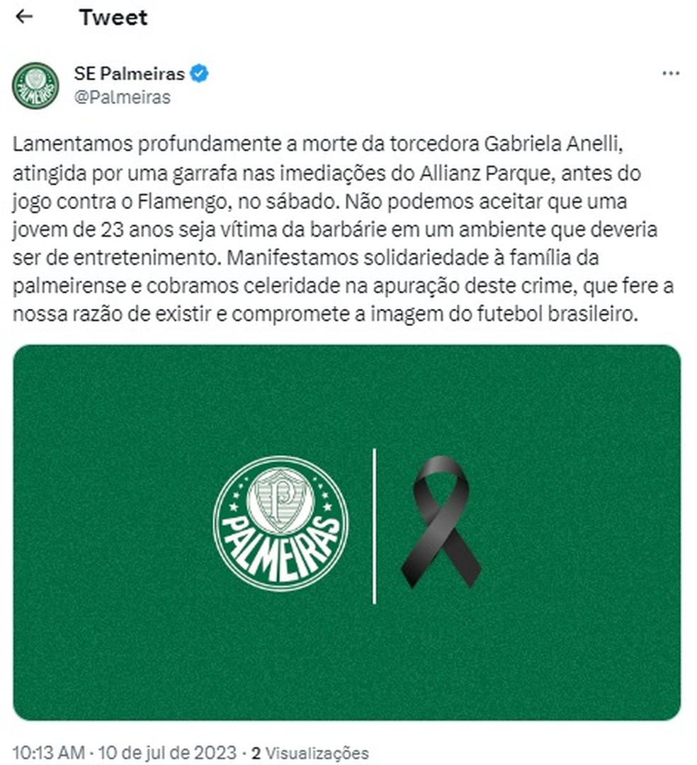 Palmeiras lamentou a morte de torcedora  — Foto: Reprodução/Redes Sociais 