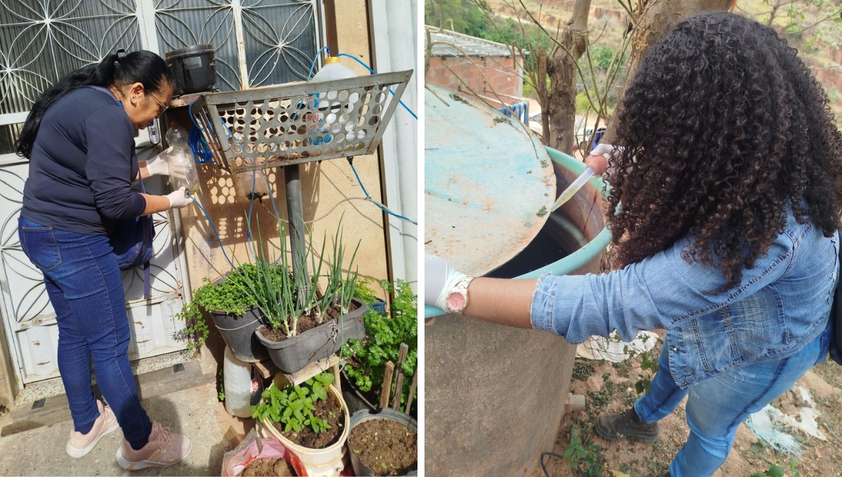 LIRAa: Ipatinga registra menor índice de infestação de Aedes aegypti em anos