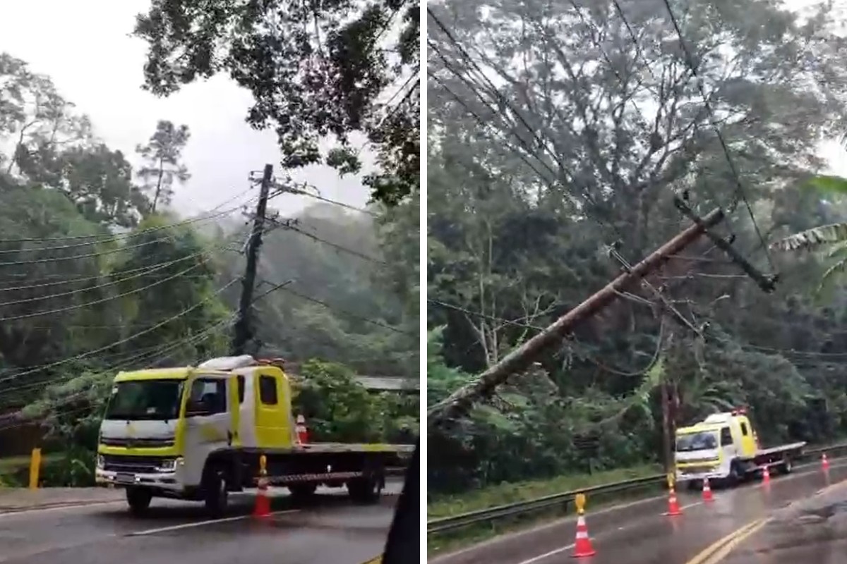 Queda de árvore e poste interdita trecho da rodovia Rio-Santos, em São Sebastião