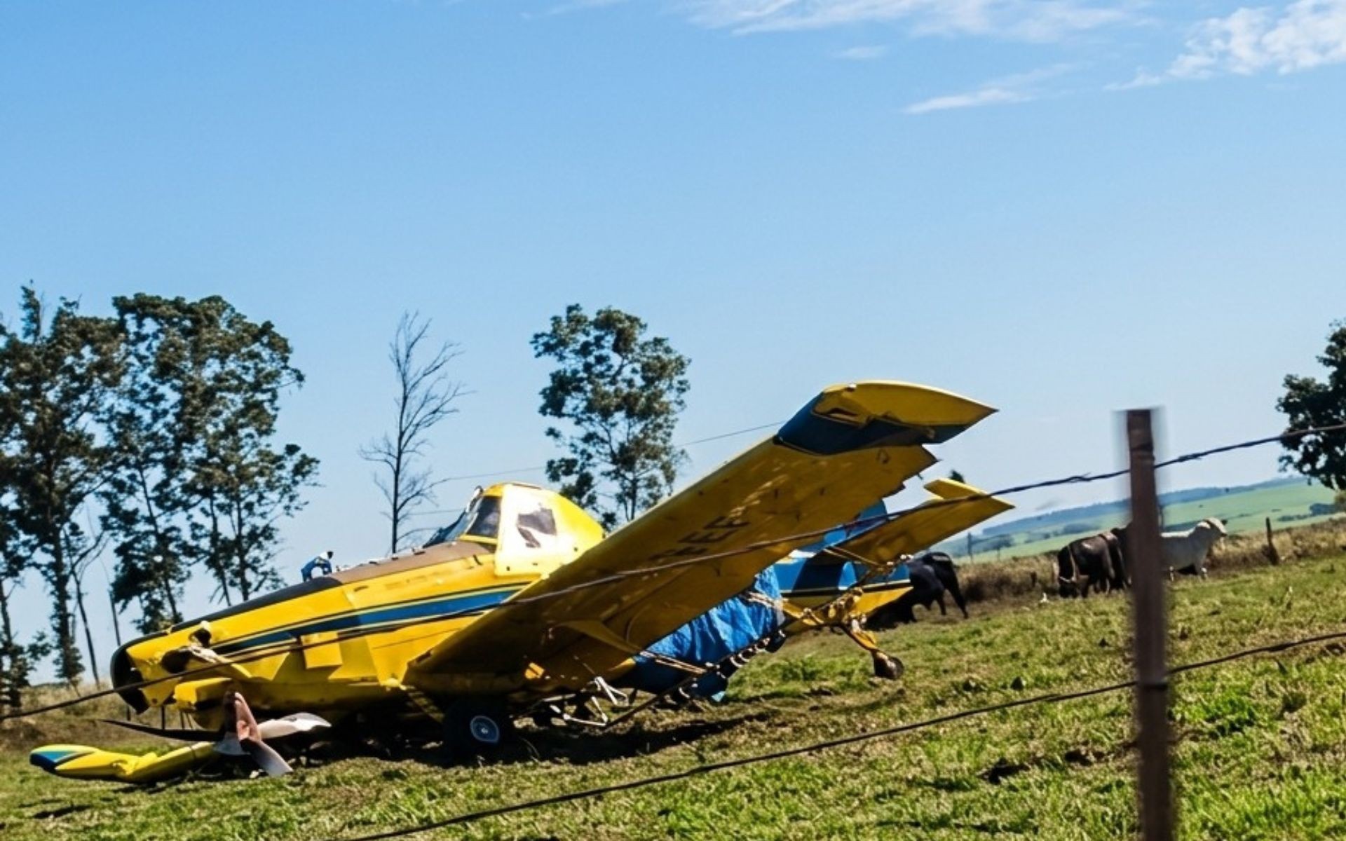 Avião agrícola faz pouso forçado de emergência no interior de SP