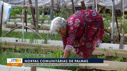 Mais de 20 hortas comunitárias atendem 450 famílias em Palmas