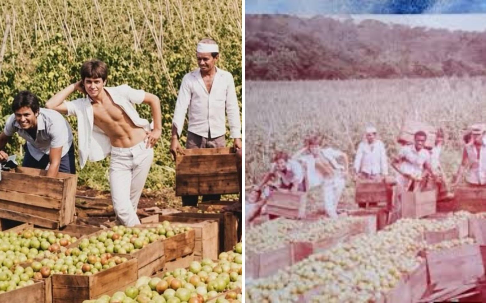 Foto de Leandro e Leonardo com o pai em fazenda de tomate comove fãs em Goiás