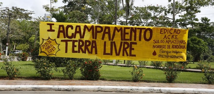 Pit-bull abandonado em rua de Betim ataca e fere carroceiro e