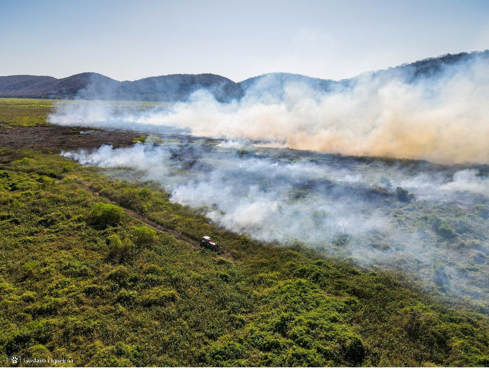 Focos de incêndio saltaram 1000% no Pantanal em 2024, se comparado o mesmo período de 2023. — Foto: Gustavo Figueirôa/Arquivo Pessoal