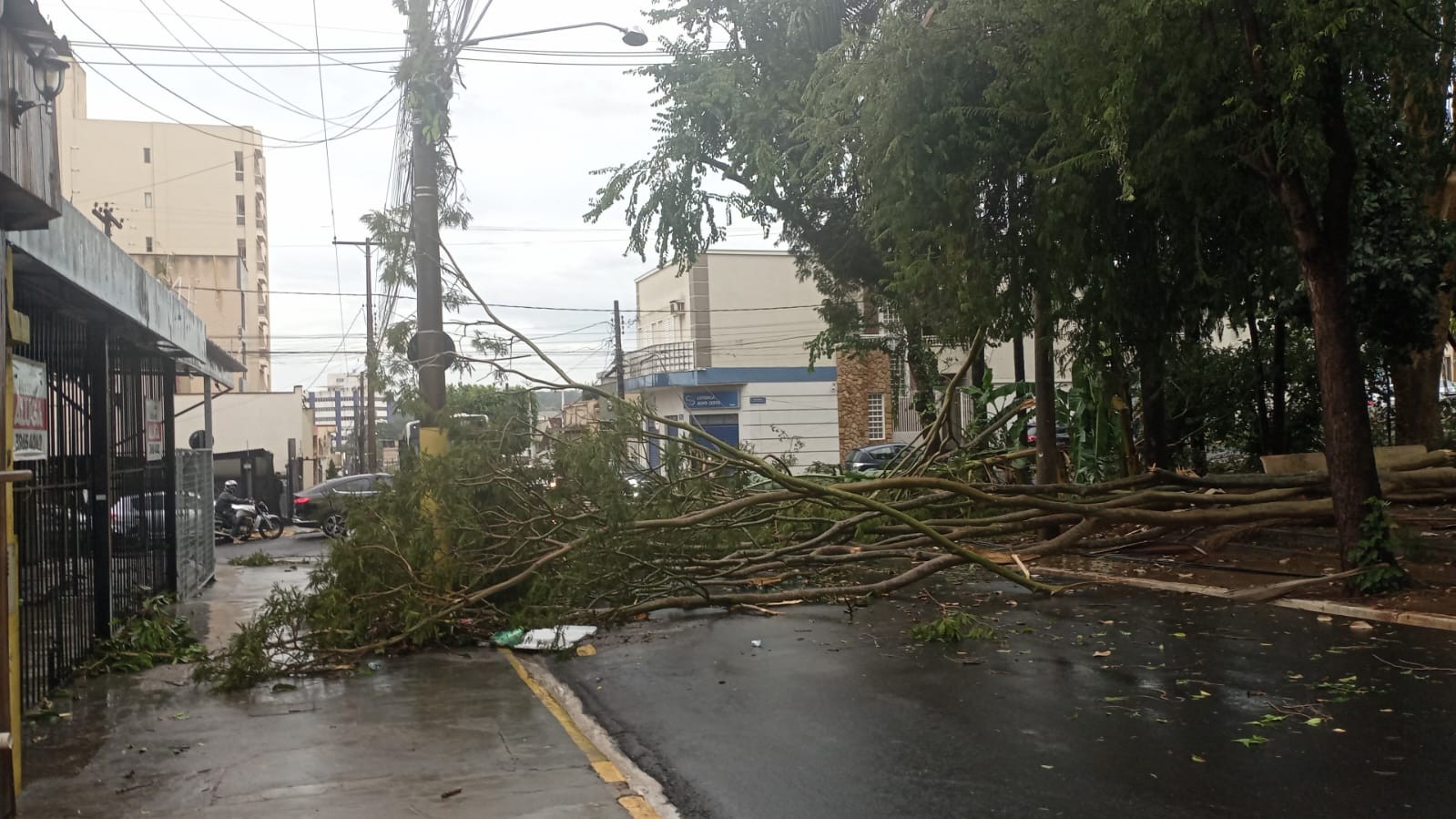 Temporal afeta energia em Ribeirão Preto, Sertãozinho e mais cinco cidades da região