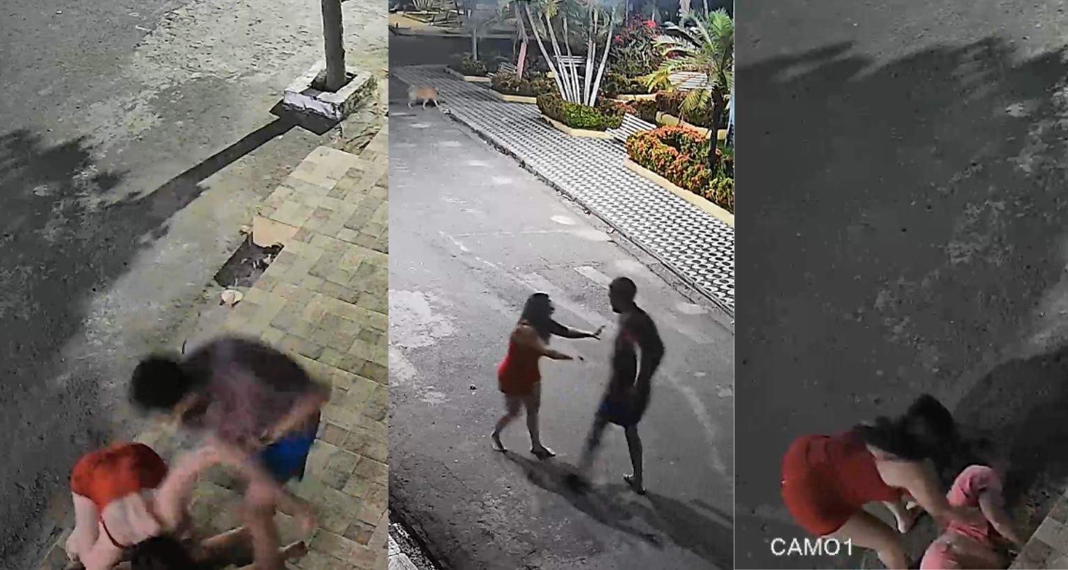 VÍDEO: Homem é preso após invadir casa e agredir ex-companheira e a mãe dela no RN