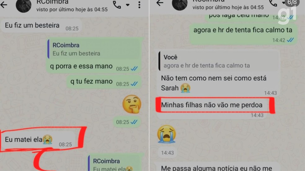 Os prints das mensagens foram repassados pela própria vítima à advogada — Foto: Reprodução/Redes Sociais