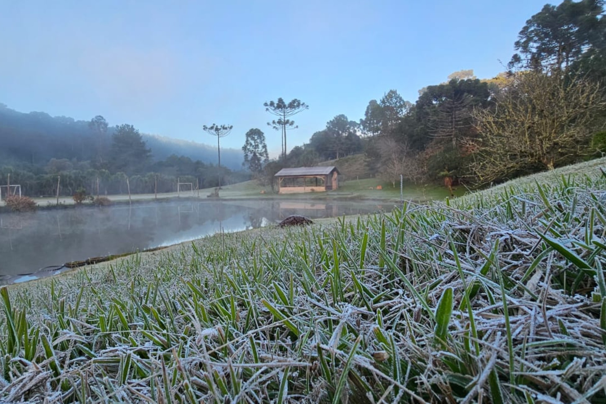 Paraná tem amanhecer com geada e frio abaixo de 0 ºC antes da volta da chuva; veja a previsão
