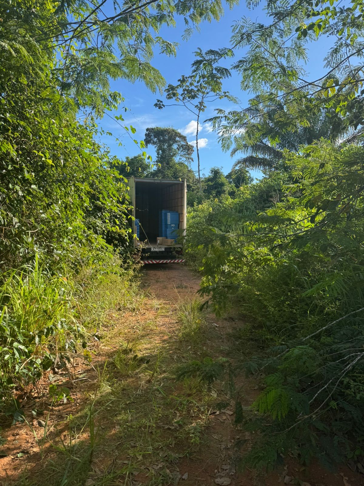 Caminhão com medicamentos é alvo de assalto em Dom Eliseu, no sudeste do Pará