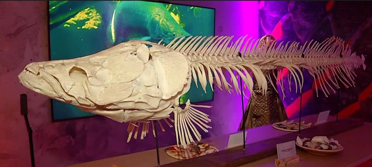 Belém recebe exposição imersiva que convida público a vivenciar a Amazônia pelos cinco sentidos