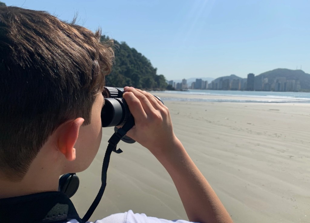 Projeto sobre aves costeiras feito com crianças ganha reconhecimento internacional da Unesco