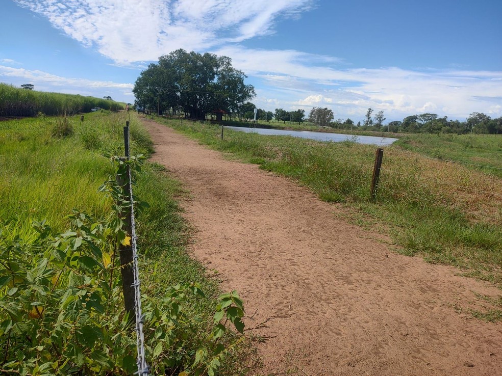 Sitiante é multado em mais de R$ 10 mil em Nova Guataporanga (SP) — Foto: Polícia Ambiental