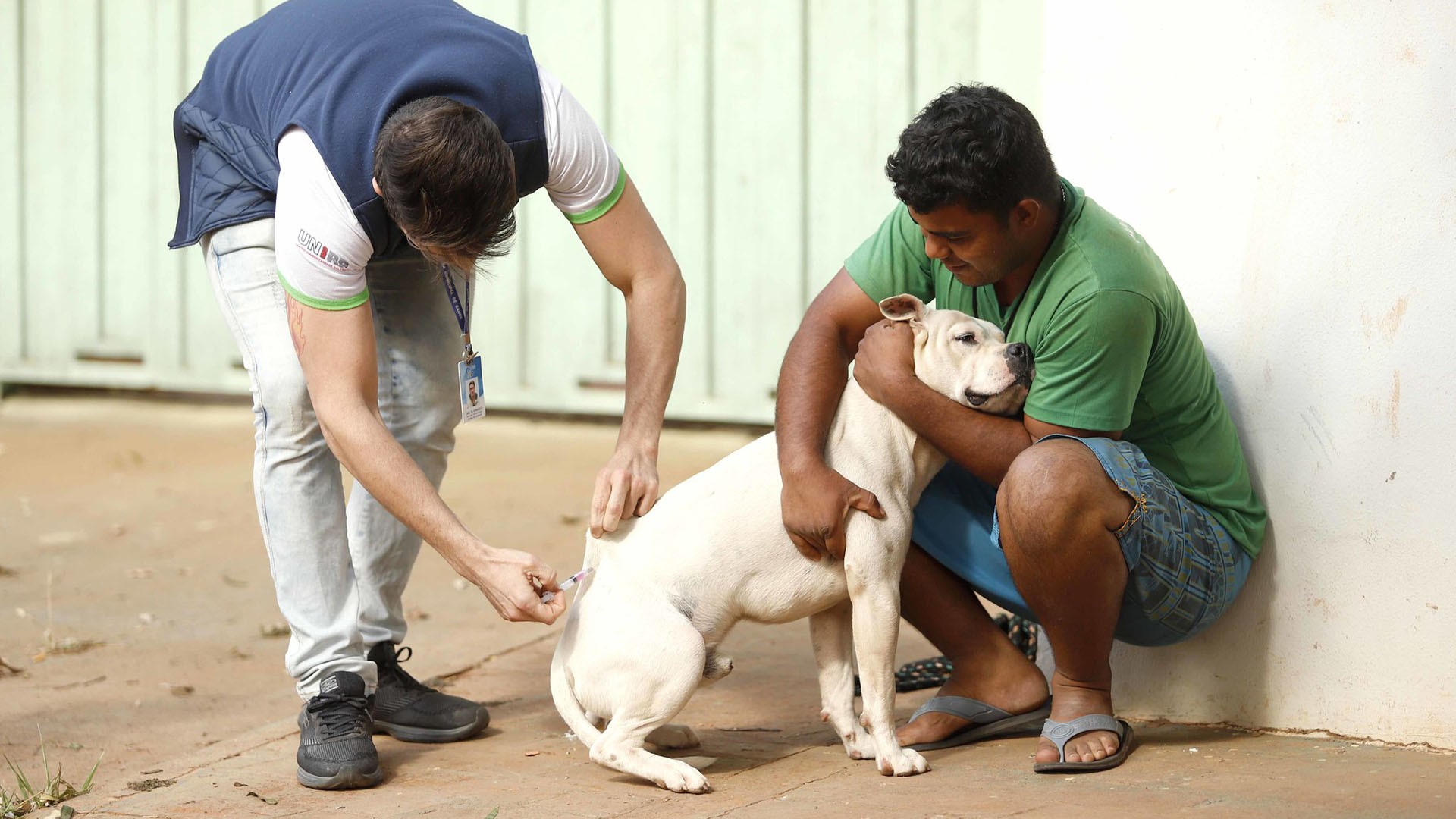 Moradores do Santa Rita I e Morrinhos, em Montes Claros, devem vacinar cães e gatos contra a raiva