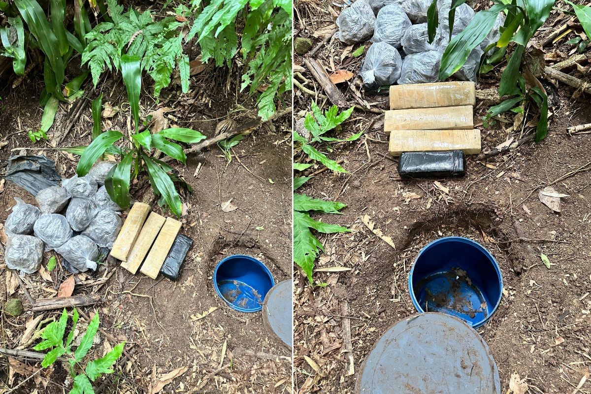 Operação contra tráfico e crime organizado mobiliza mais de 300 PMs nos morros de Santos; VÍDEO