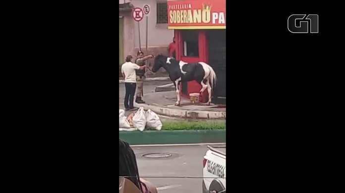 Policial militar sacrifica cavalo e gera revolta nas redes sociais - Gerais  - Estado de Minas
