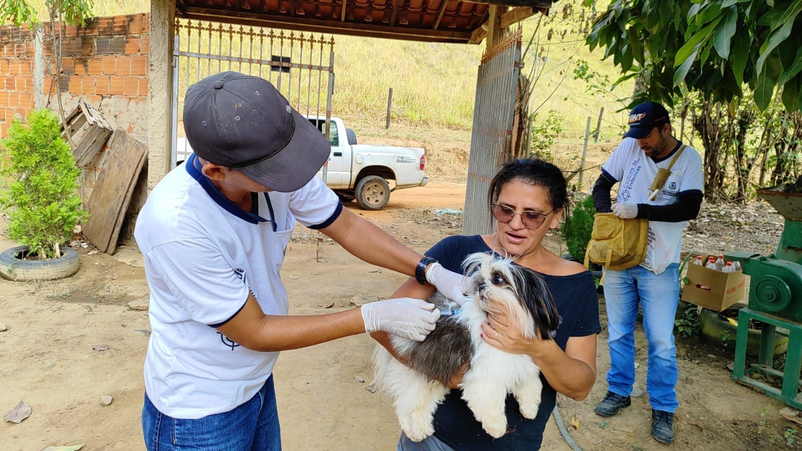 Vacinação contra a raiva para cães e gatos é realizada neste sábado (6) em Baguari 