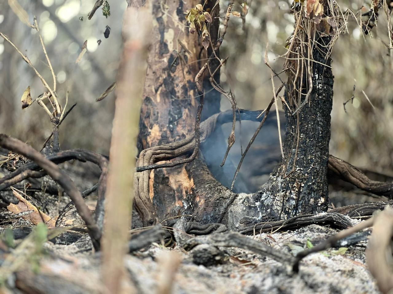 Incêndio atinge ao menos três fazendas e mobiliza bombeiros por quatro dias em Itatiba 