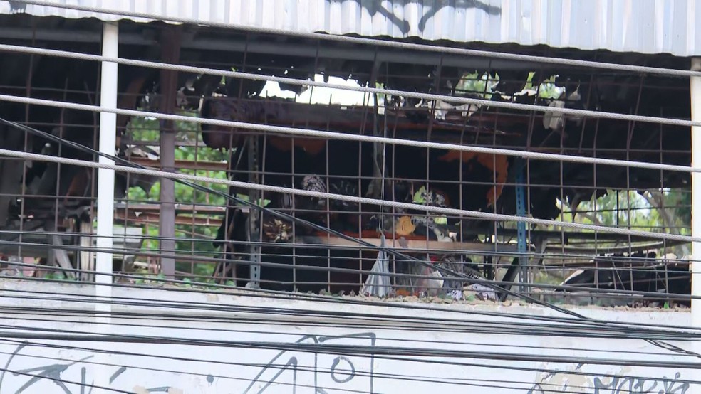 Fábrica de roupas fica no segundo andar de um prédio na Rua Aristídes Lôbo, no Rio Comprido — Foto: Reprodução/TV Globo