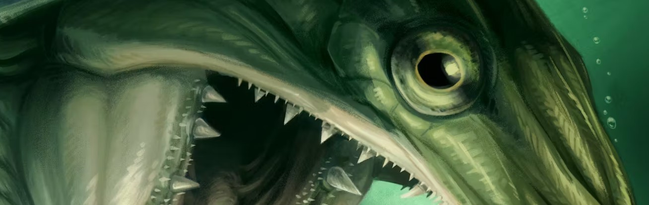 Descoberta casual de fóssil de 350 milhões de anos revela um novo tipo de peixe predador antigo