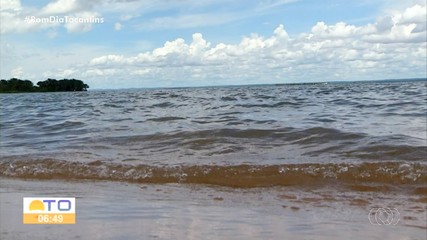 Entenda o que é o crime de pesca ilegal e quais são os danos causados ao meio ambiente