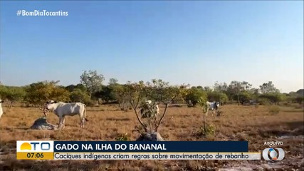 Caciques criam regras sobre movimentação de rebanho para não indígenas na Ilha do Bananal