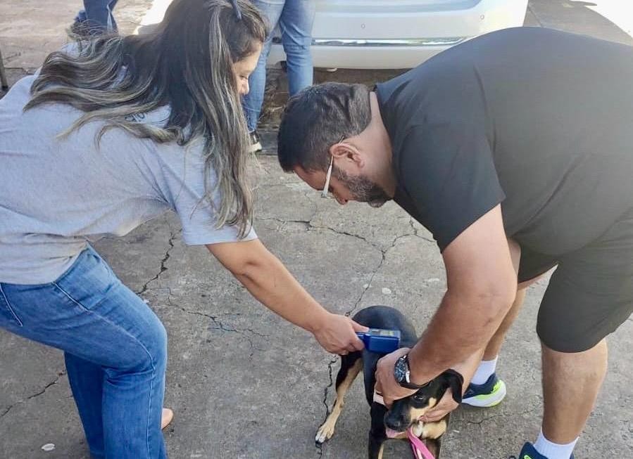 Plantões de chipagem e coleta de sangue de cães são realizados a partir desta segunda-feira em bairros de Presidente Prudente