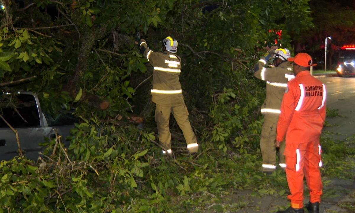 Queda de árvore interdita trecho de pista ao lado do Dique do Tororó e deixa feridos em Salvador 