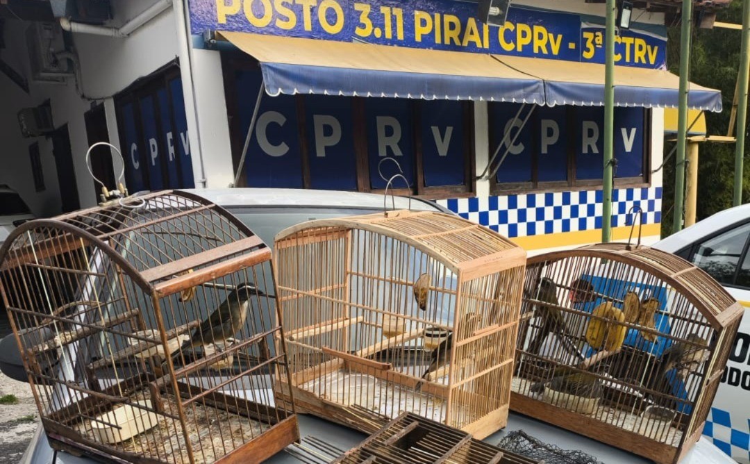Comando de Policiamento Rodoviário apreende aves silvestres e materiais de caça na RJ-145, em Piraí