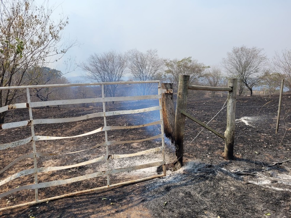 Área rural de Garça (SP) devastada por incêndio — Foto: Adolfo Lima/TV TEM