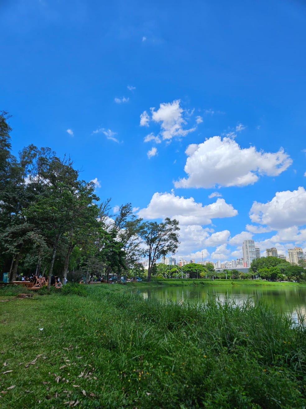 Parque Ibirapuera neste domingo (10) — Foto: Raoni Freitas/Arquivo pessoal