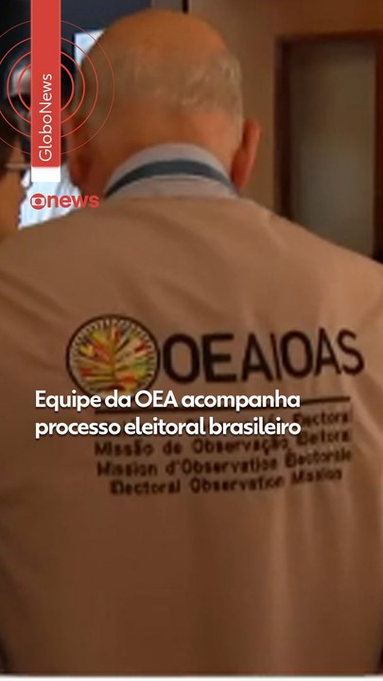 Sem detalhar, OEA diz que houve 'ativismo político internacional' na eleição; TSE descarta interferência