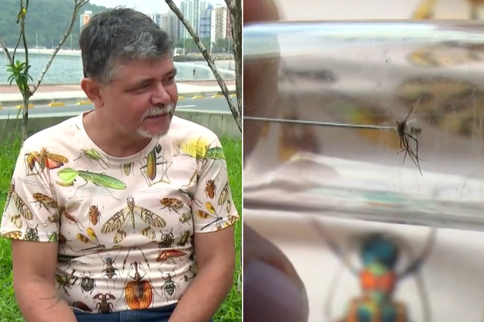 Biólogo estuda e trabalha com o Aedes aegypti há quase 30 anos na Baixada Santista, no litoral de SP — Foto: Reprodução/TV Tribuna